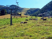 Laghi alti di Foppolo ad anello via Passo-Cima di Valcervia- 5 agosto 2025  - FOTOGALLERY